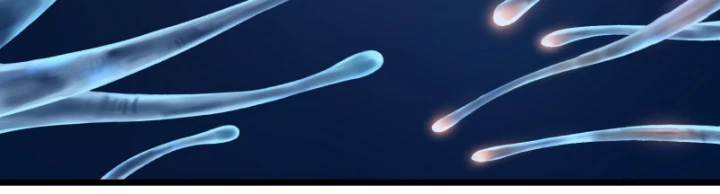 Linh Lung • Nguyệt Khôi Truyện Chapter 13 - Trang 2