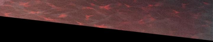 Linh Lung • Nguyệt Khôi Truyện Chapter 23 - Trang 2