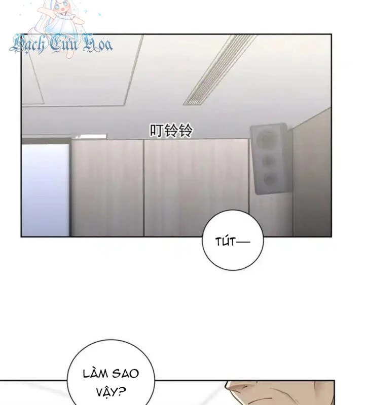 Livestream Phẫu Thuật Chapter 20 - Trang 2