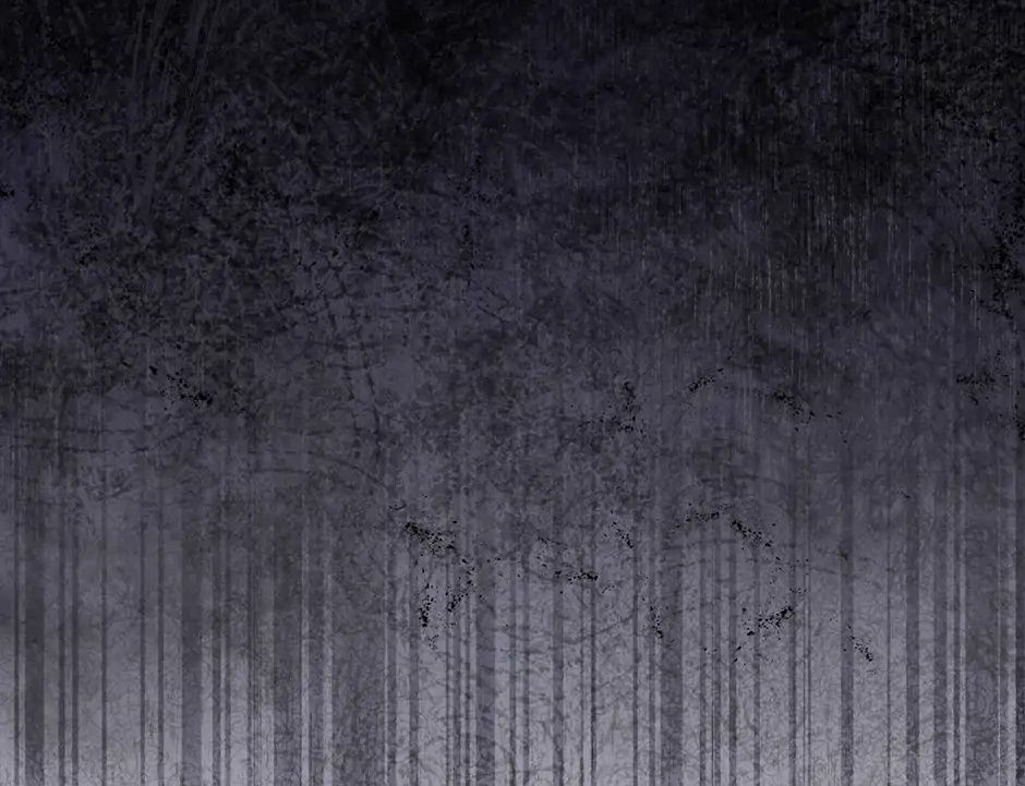 Lọ Lem Đã Mất Tích Chapter 62 - Trang 2