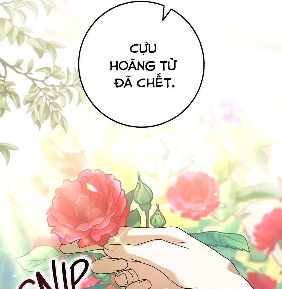 Lọ Lem Đã Mất Tích Chapter 62 - Trang 2
