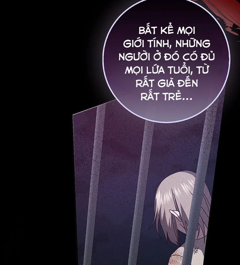Lọ Lem Đã Mất Tích Chapter 67 - Trang 2