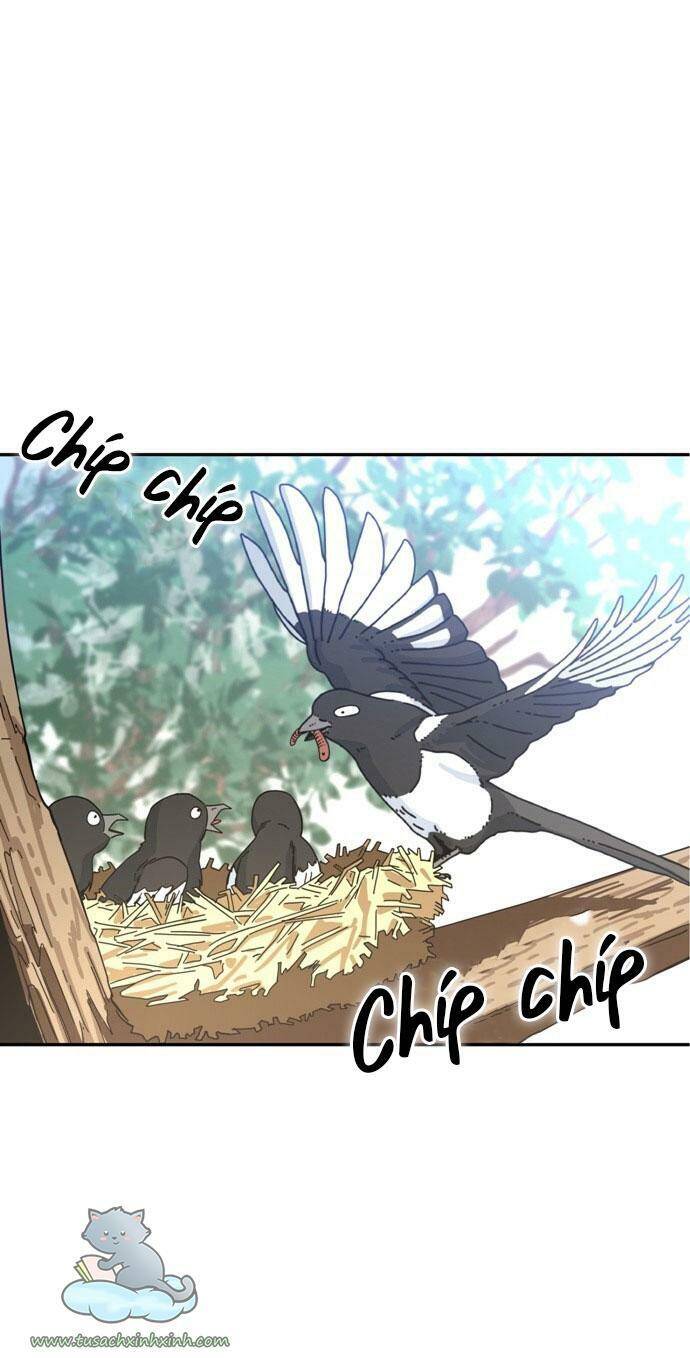 Lớ Ngớ Vớ Phải Tình Yêu Chapter 1 - Trang 2