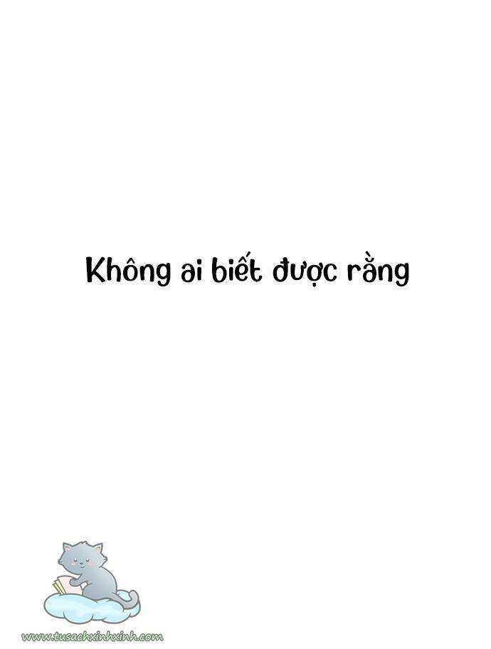 Lớ Ngớ Vớ Phải Tình Yêu Chapter 4 - Trang 2