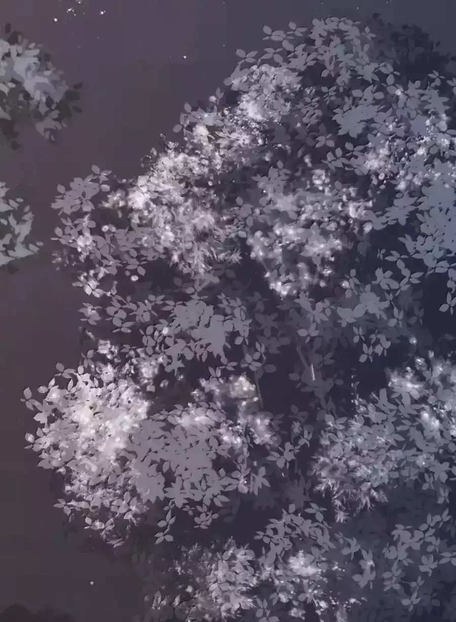 Loạn Thế Vi Vương Chapter 133 - Trang 2