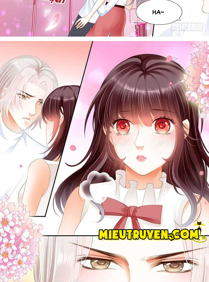 Lóe Thiểm Hôn Kiều Thê Mơ Tưởng Trốn Chapter 49 - Trang 2