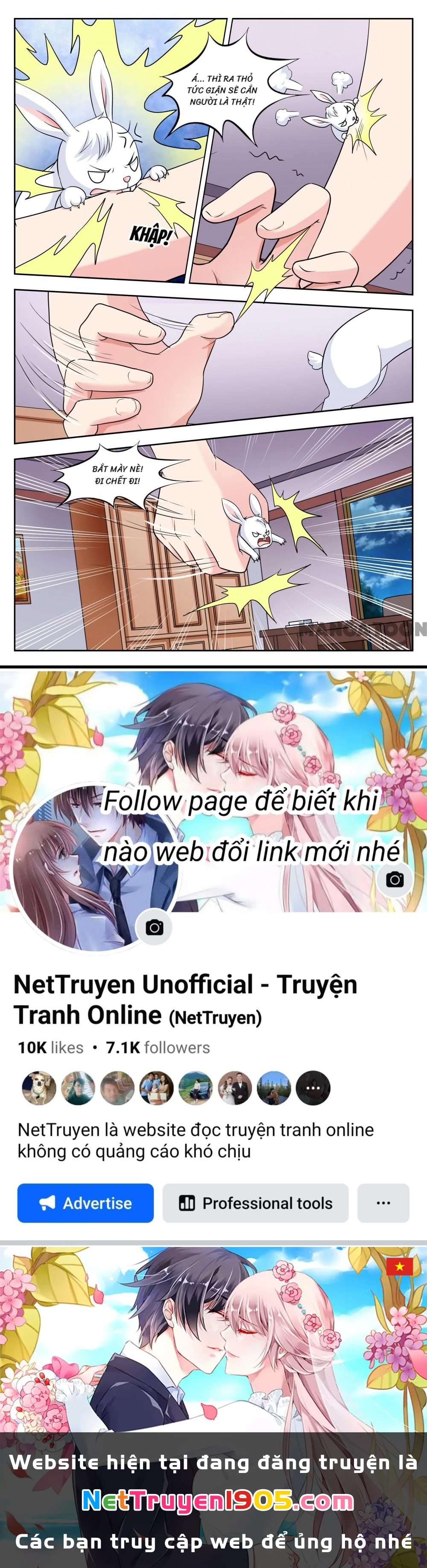 Lời Nguyền Biến Hình Chapter 249 - Trang 2