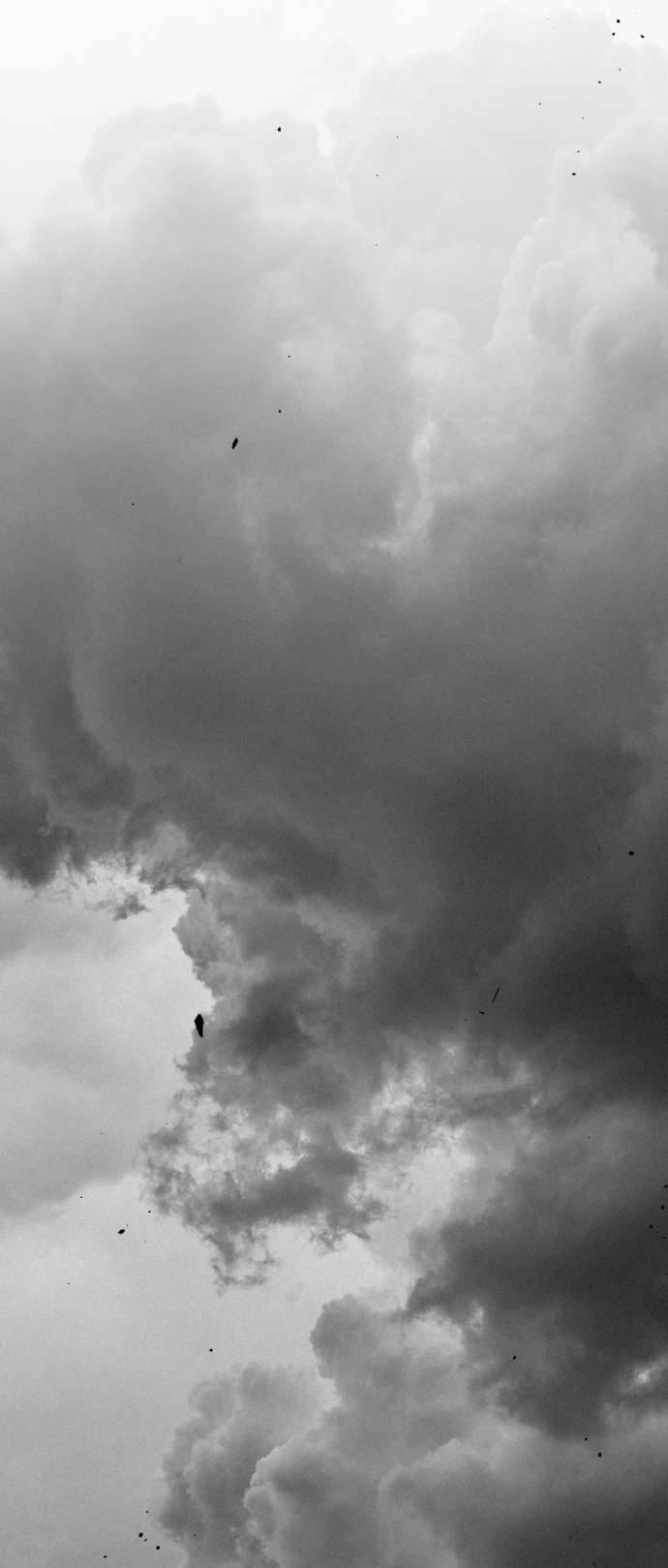 Lời Thú Nhận Của Chúa Tể Bóng Tối Chapter 98 - Trang 2