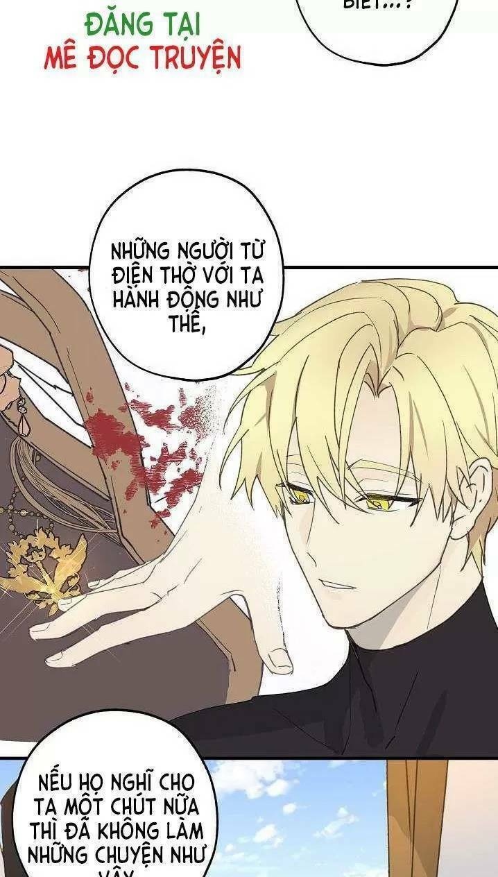 Lời Thú Nhận Nhầm Lẫn Chapter 12 - Trang 2
