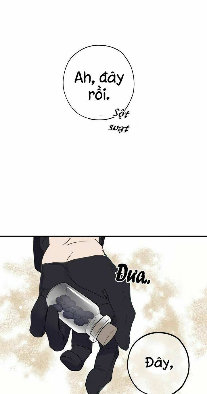 Lời Thú Nhận Nhầm Lẫn Chapter 29 - Trang 2