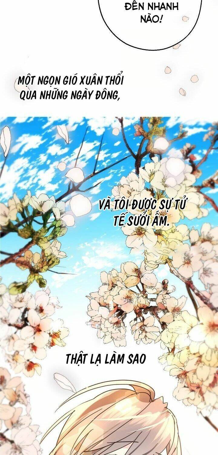 Lời Thú Nhận Nhầm Lẫn Chapter 36 - Trang 2