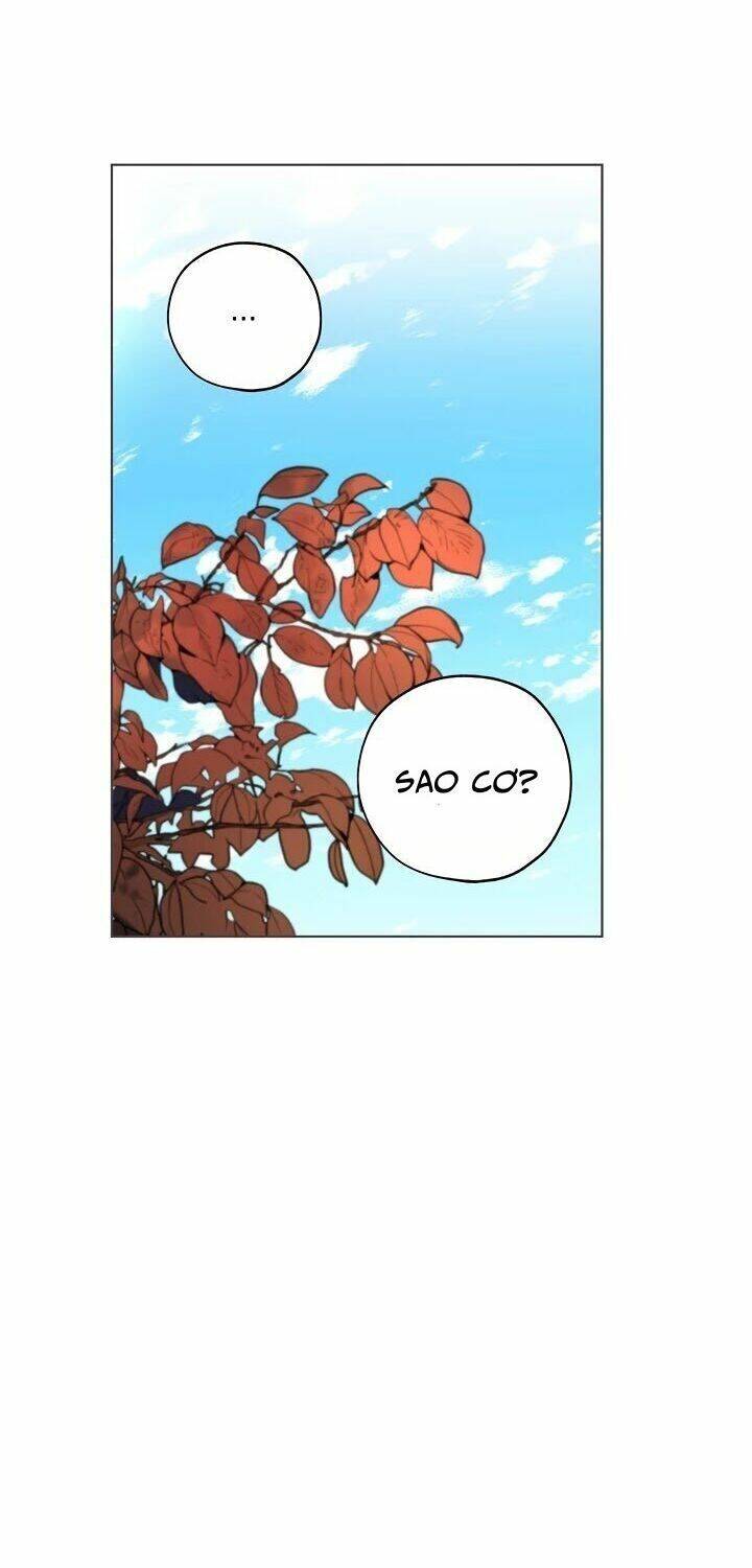 Lời Thú Nhận Nhầm Lẫn Chapter 42 - Trang 2