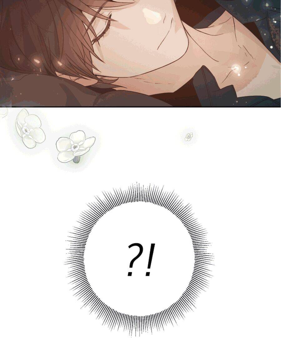 Lời Thú Nhận Nhầm Lẫn Chapter 51 - Trang 2