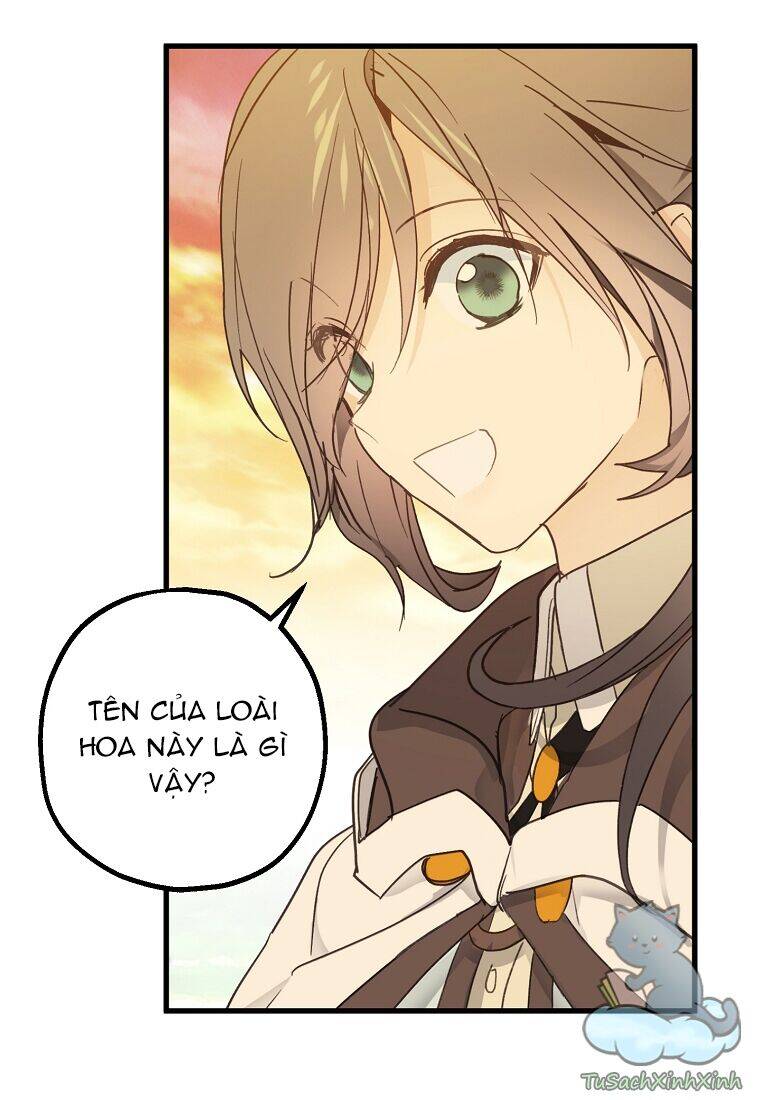 Lời Thú Nhận Nhầm Lẫn Chapter 52 - Trang 2