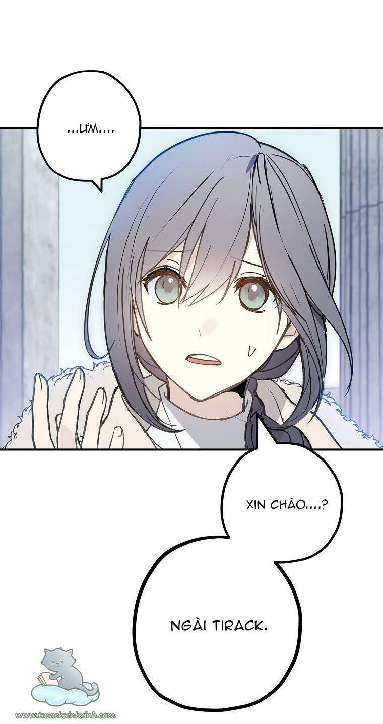 Lời Thú Nhận Nhầm Lẫn Chapter 55 - Trang 2