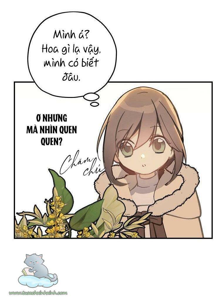 Lời Thú Nhận Nhầm Lẫn Chapter 56 - Trang 2