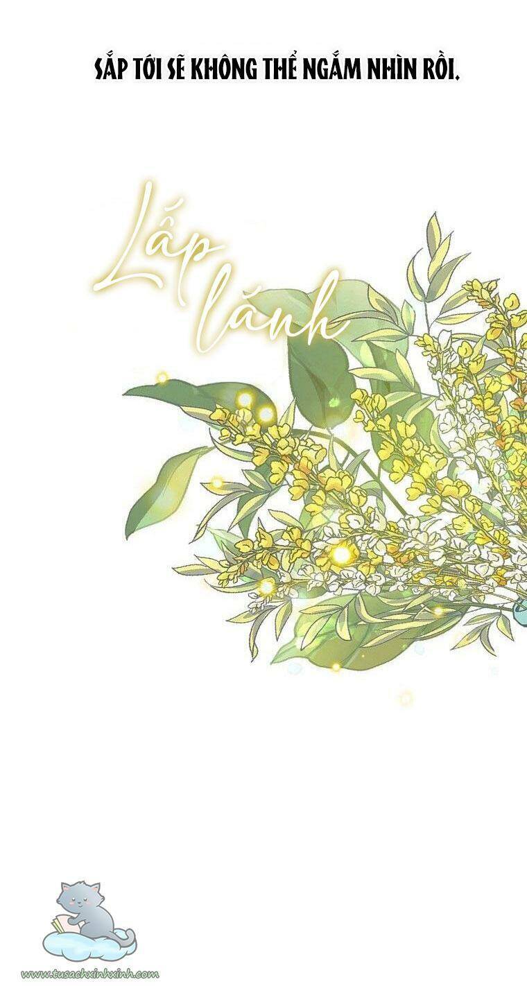 Lời Thú Nhận Nhầm Lẫn Chapter 56 - Trang 2