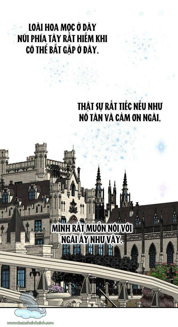 Lời Thú Nhận Nhầm Lẫn Chapter 56 - Trang 2