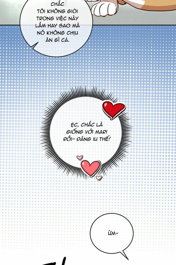 Lời Thú Tội Bí Ẩn Chapter 29 - Trang 2