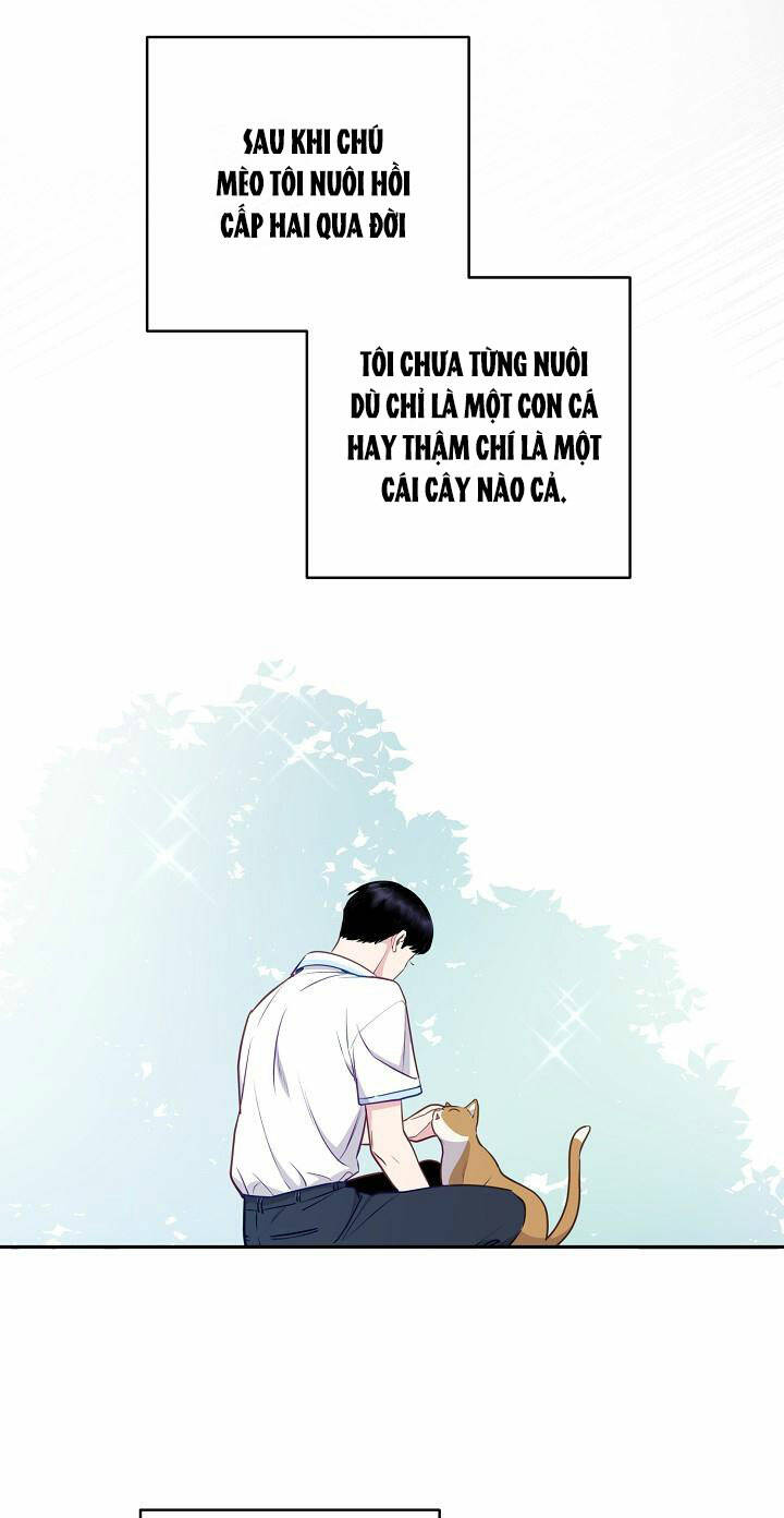 Lời Thú Tội Bí Ẩn Chapter 44 - Trang 2