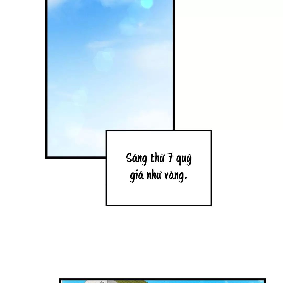 Lời Tỏ Tình Từ Con Số 0 Chapter 11 - Trang 2