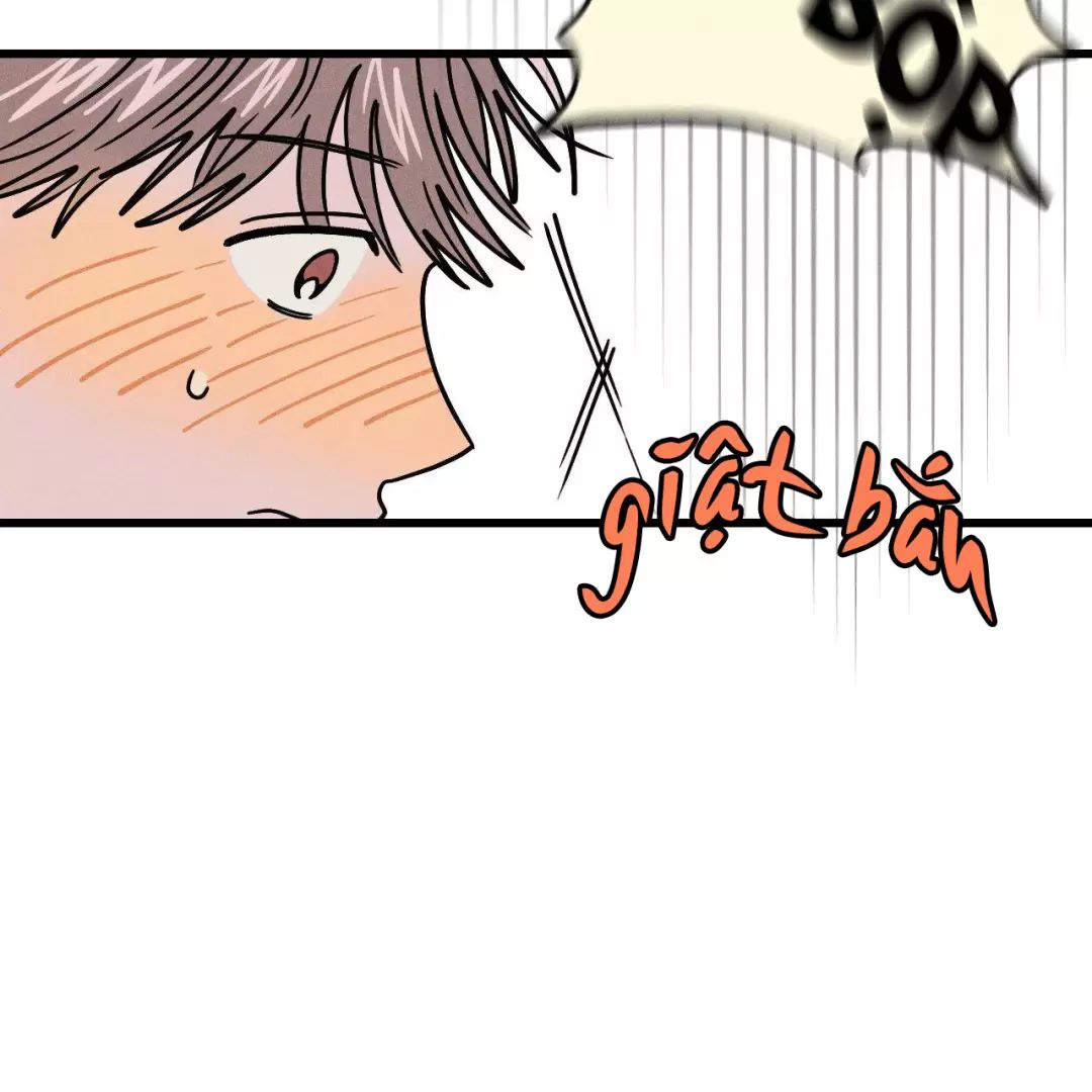 Lời Tỏ Tình Từ Con Số 0 Chapter 4 - Trang 2