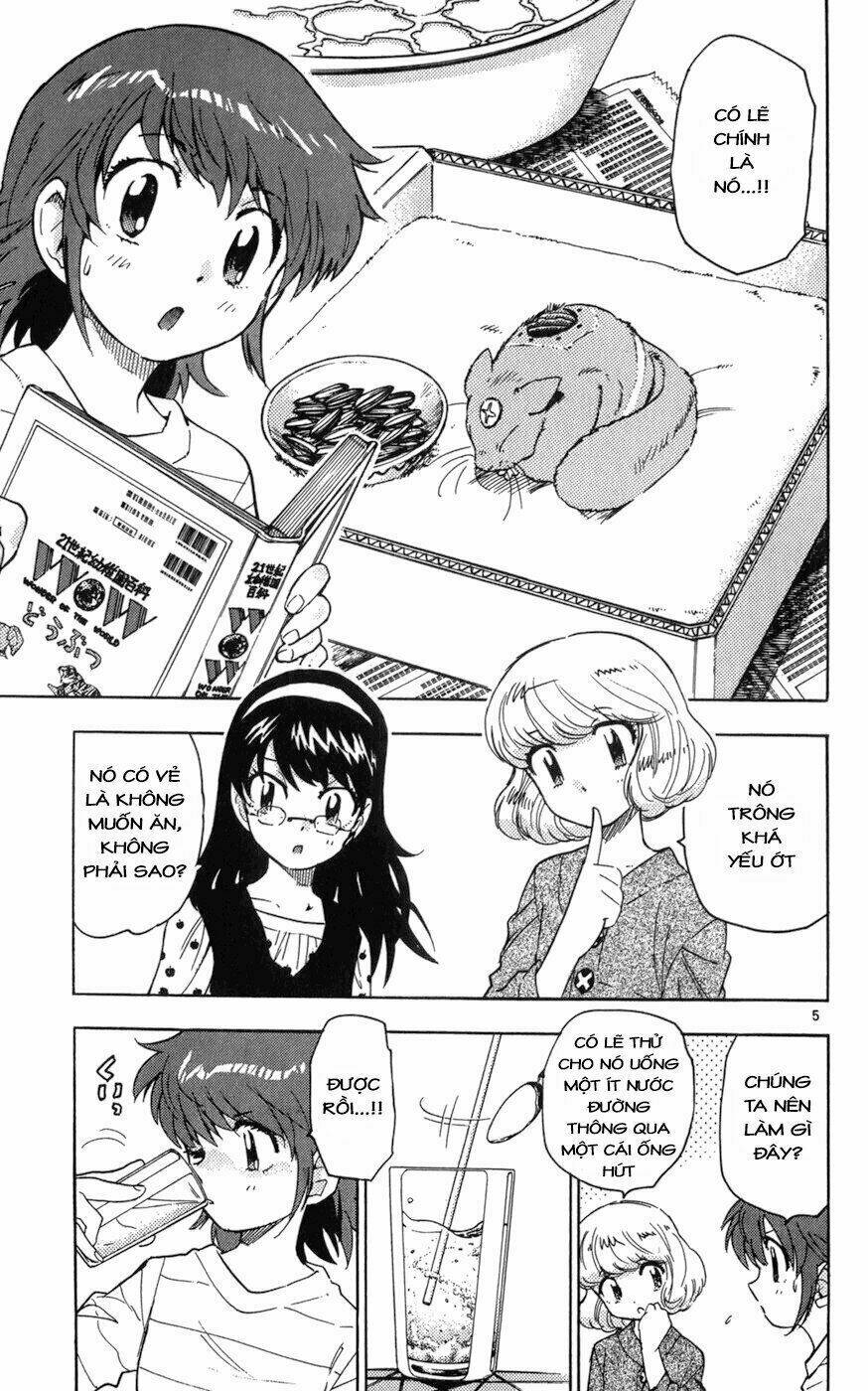 Loli Siêu Năng Lực Chapter 61 - Trang 2