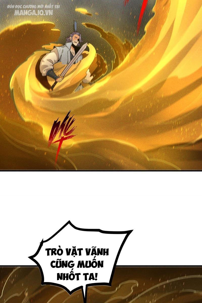 Lòng Hiếu Thảo Của Đồ Đệ Ta Gần Như Biến Chất! Chapter 13 - Trang 2