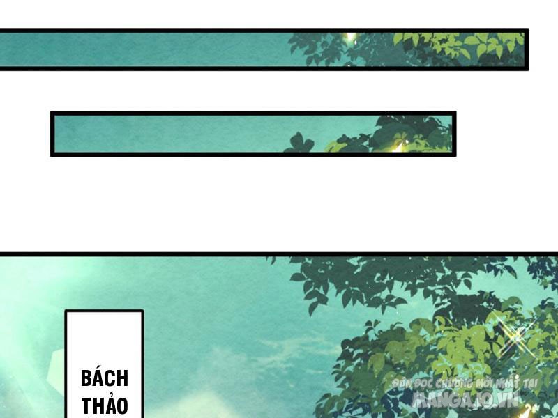 Lòng Hiếu Thảo Của Đồ Đệ Ta Gần Như Biến Chất! Chapter 2 - Trang 2