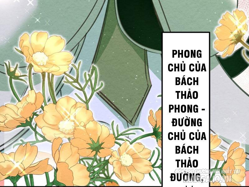 Lòng Hiếu Thảo Của Đồ Đệ Ta Gần Như Biến Chất! Chapter 2 - Trang 2