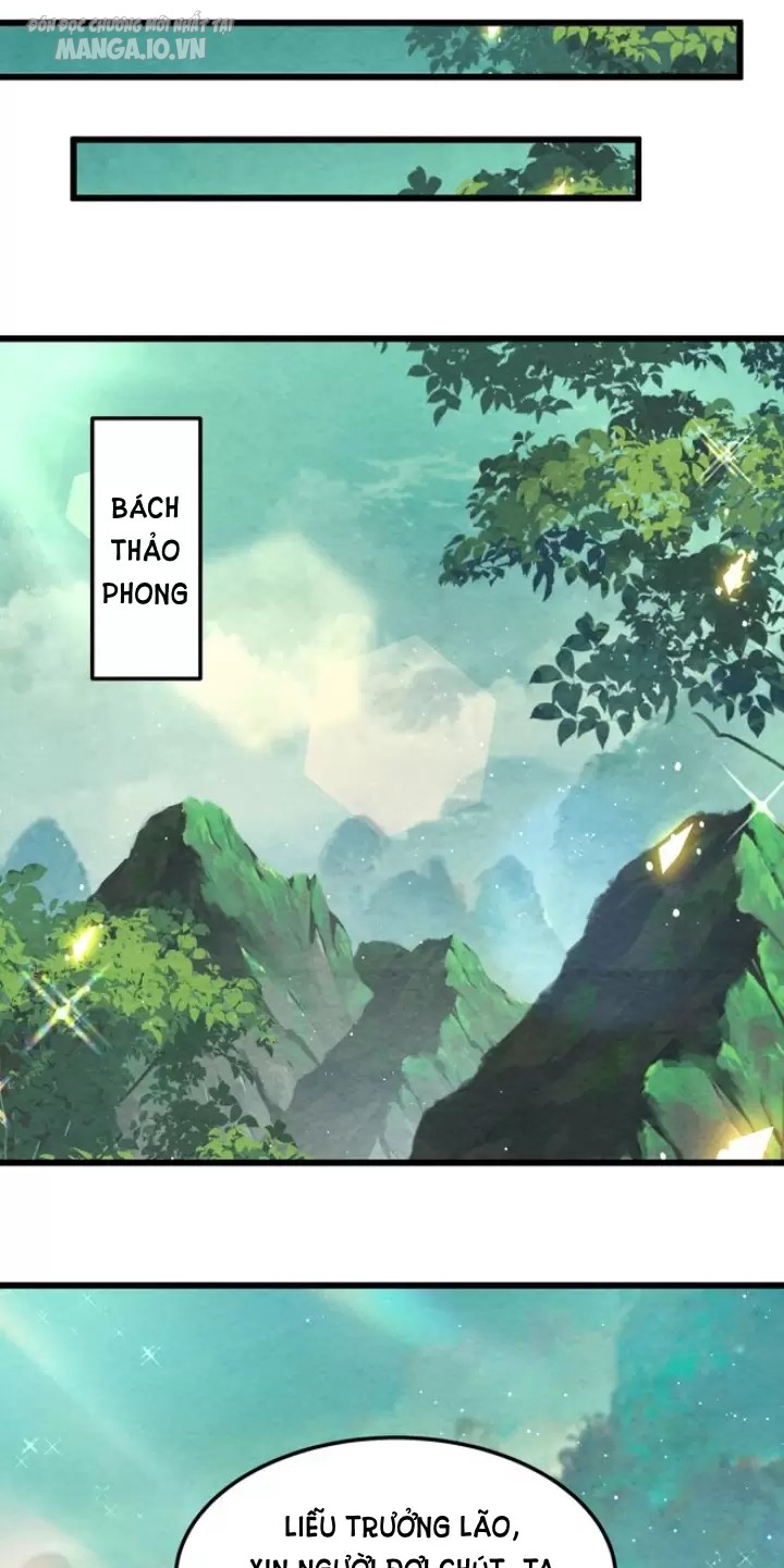 Lòng Hiếu Thảo Của Đồ Đệ Ta Gần Như Biến Chất! Chapter 4 - Trang 2