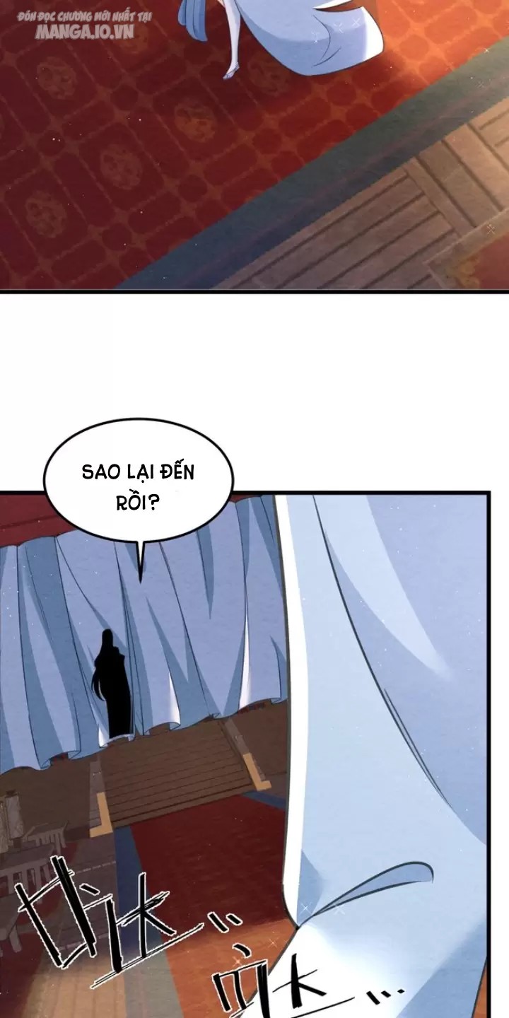 Lòng Hiếu Thảo Của Đồ Đệ Ta Gần Như Biến Chất! Chapter 4 - Trang 2