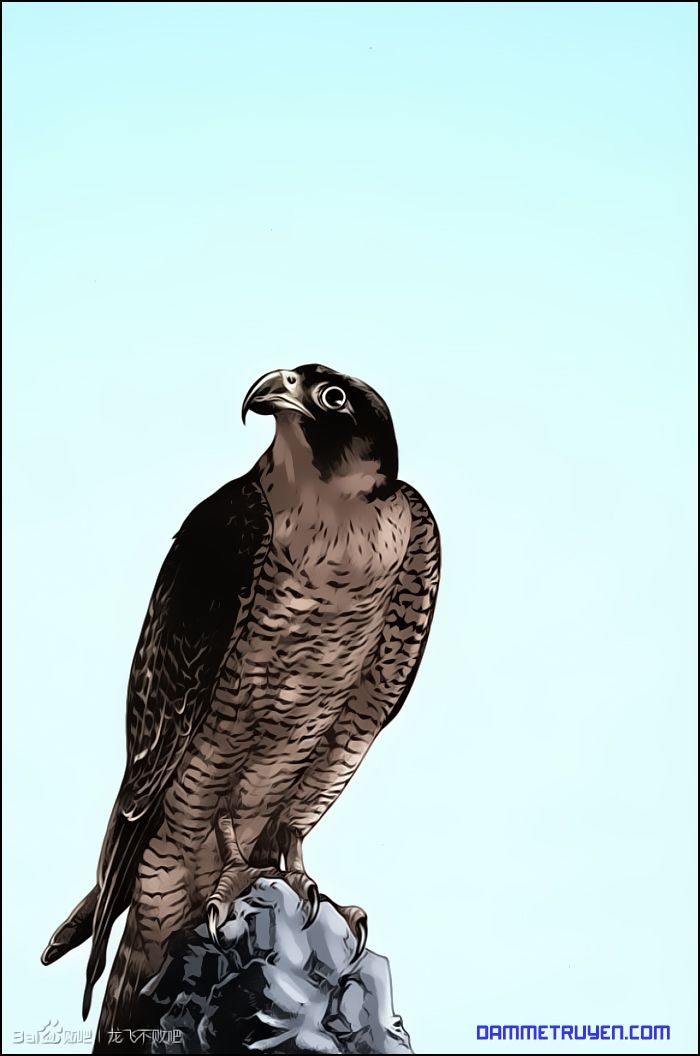 Long Phi Bất Bại 2 Chapter 14 - Trang 2