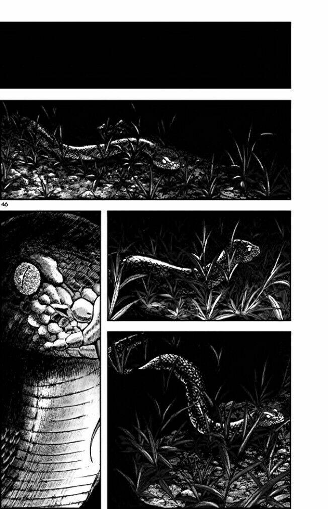 Long Phi Bất Bại Phần 2 Chapter 8 - Trang 2