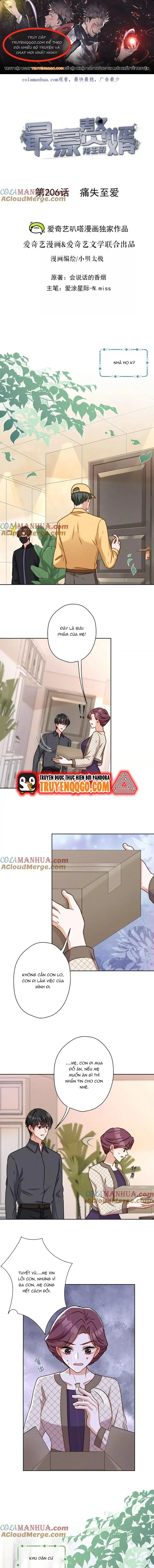 Long Vương Điện: Người Ở Rể Giàu Nhất Chapter 206 - Trang 2