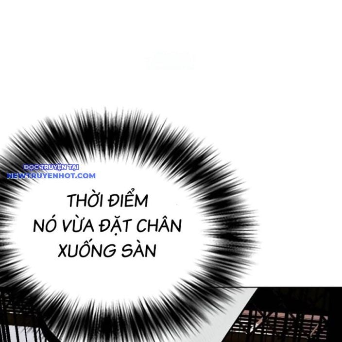 Loser Giỏi Võ Chapter 92 - Trang 2