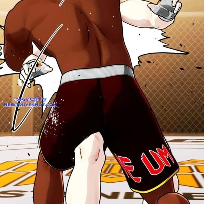 Loser Giỏi Võ Chapter 93 - Trang 2