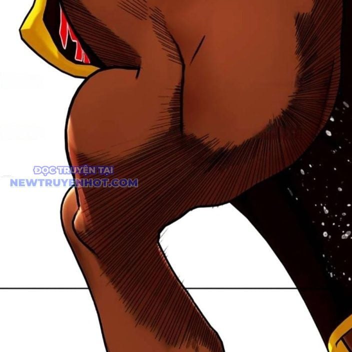 Loser Giỏi Võ Chapter 95 - Trang 2