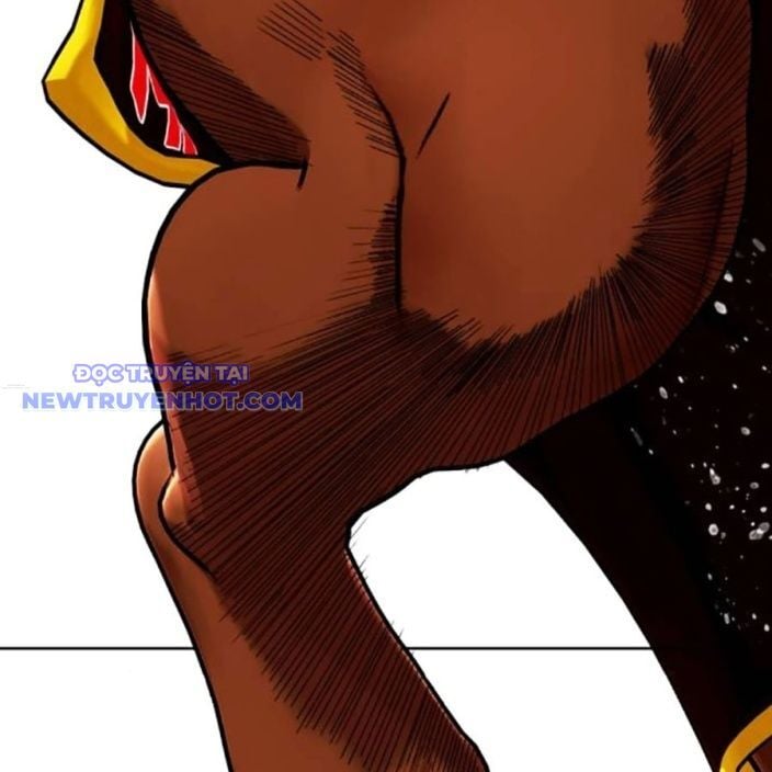 Loser Giỏi Võ Chapter 95 - Trang 2