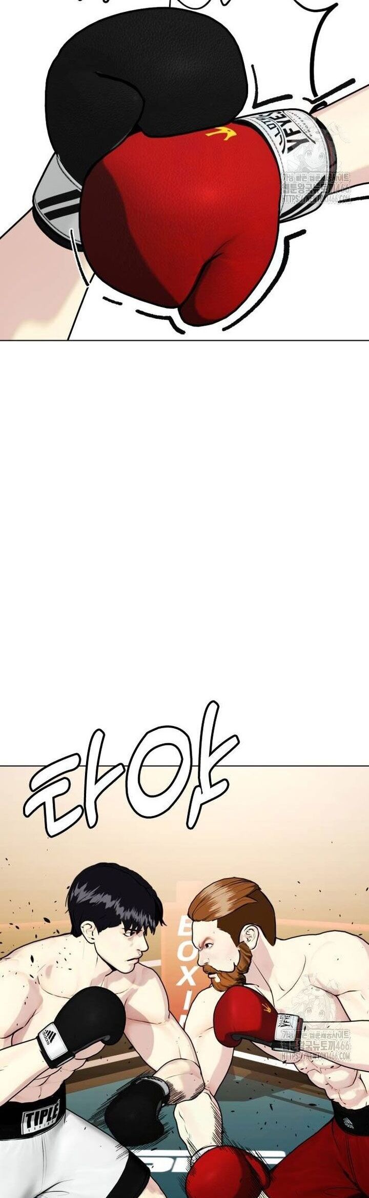 Loser Giỏi Võ Chapter 98 - Trang 2