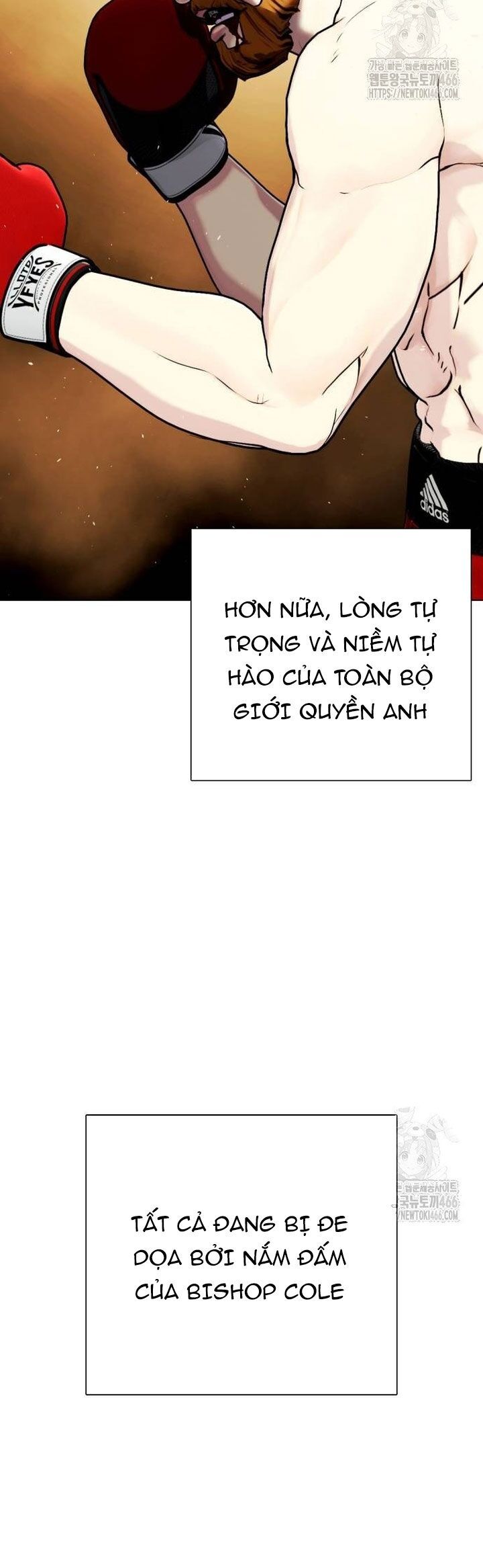 Loser Giỏi Võ Chapter 98 - Trang 2