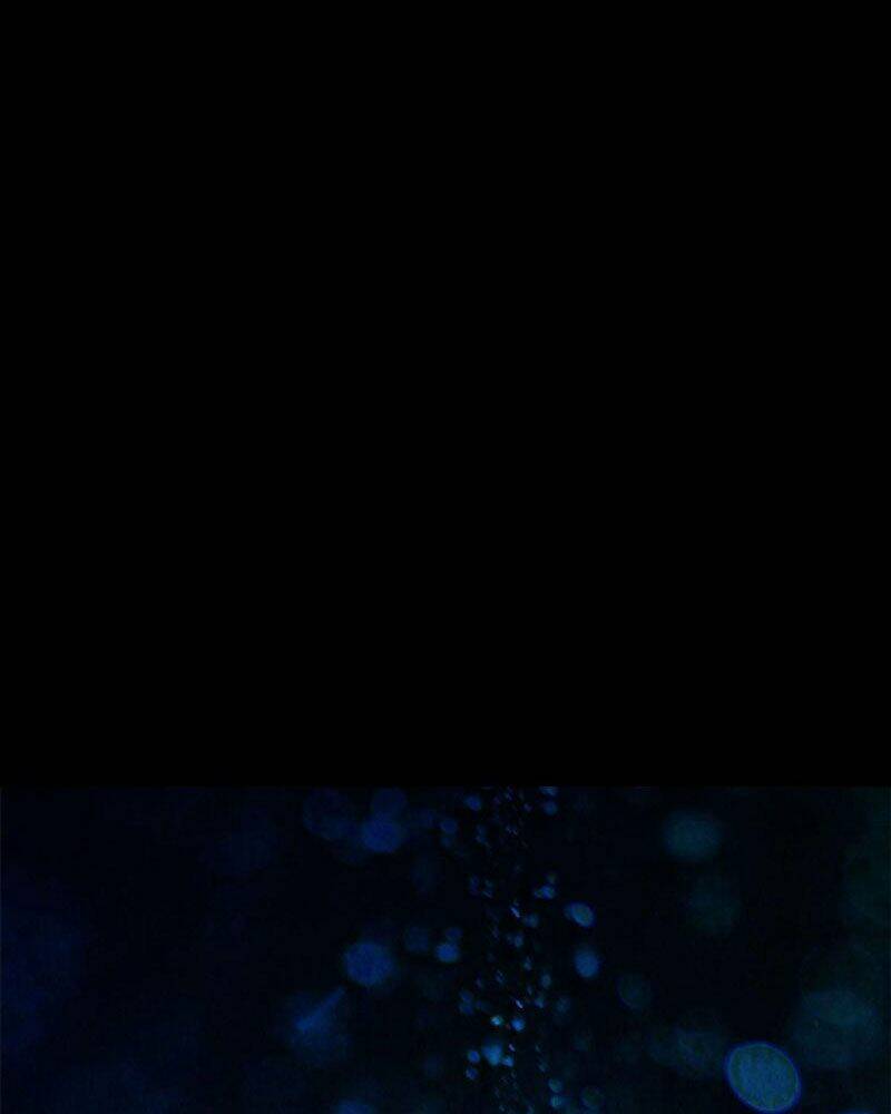 Luân Bàn Thế Giới Chapter 105 - Trang 2