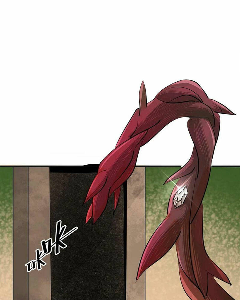 Luân Bàn Thế Giới Chapter 129 - Trang 2