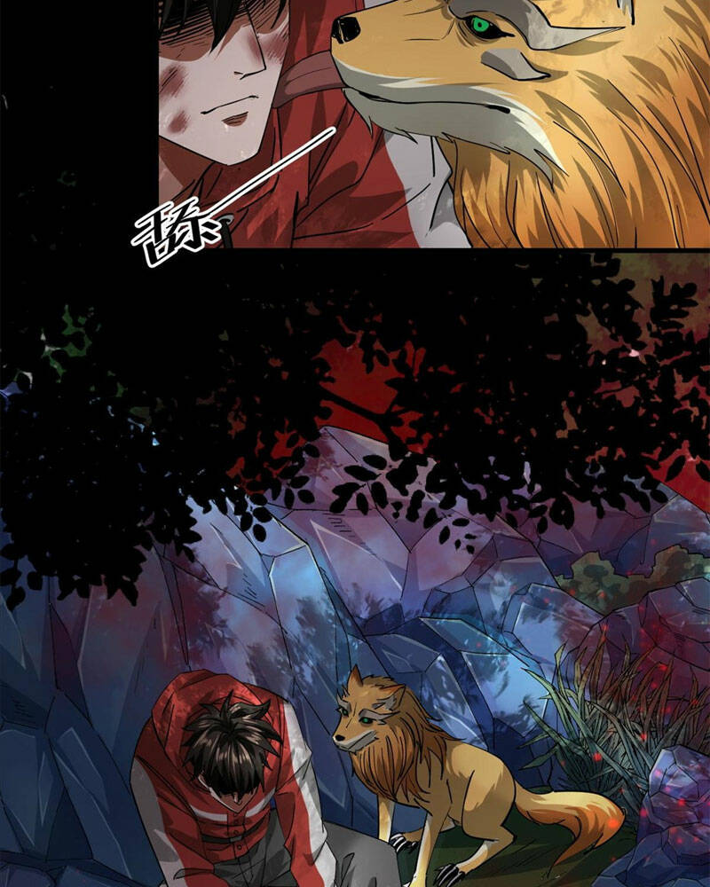 Luân Bàn Thế Giới Chapter 133 - Trang 2