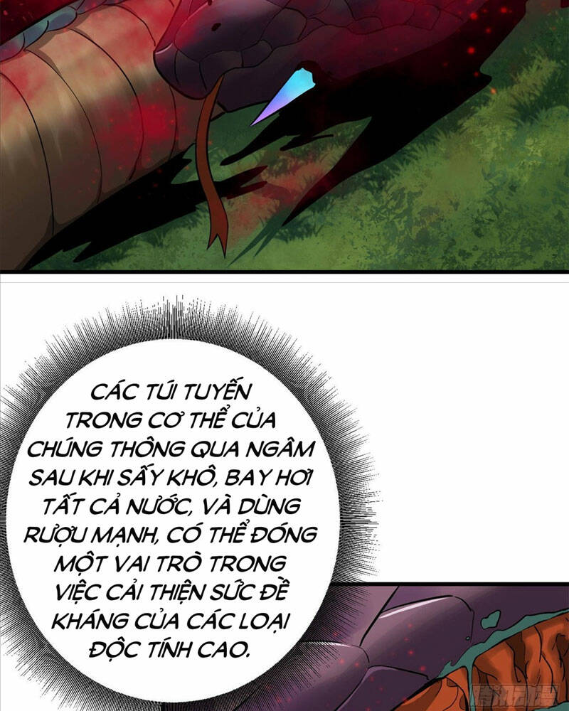 Luân Bàn Thế Giới Chapter 139 - Trang 2