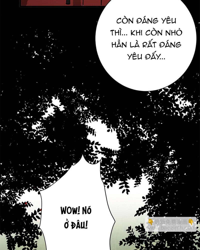 Luân Bàn Thế Giới Chapter 141 - Trang 2