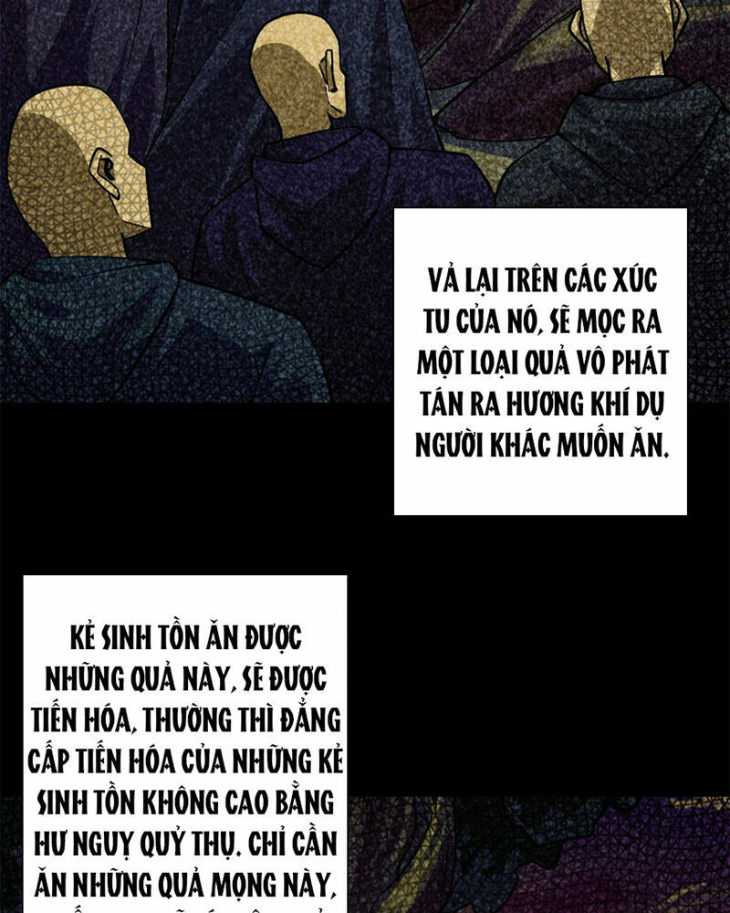 Luân Bàn Thế Giới Chapter 149 - Trang 2