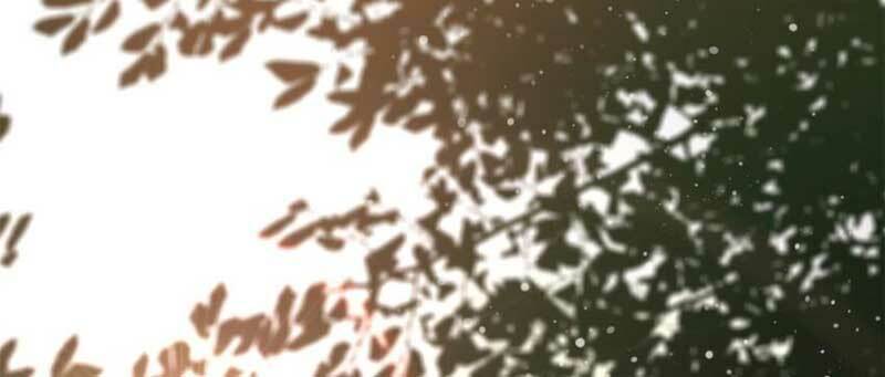 Luân Bàn Thế Giới Chapter 151 - Trang 2