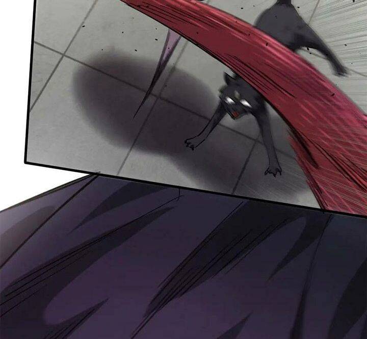 Luân Bàn Thế Giới Chapter 162 - Trang 2