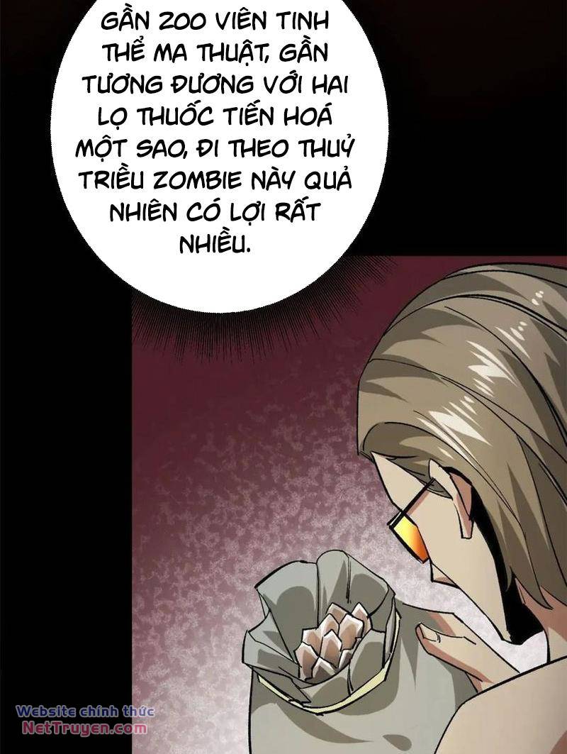 Luân Bàn Thế Giới Chapter 172 - Trang 2